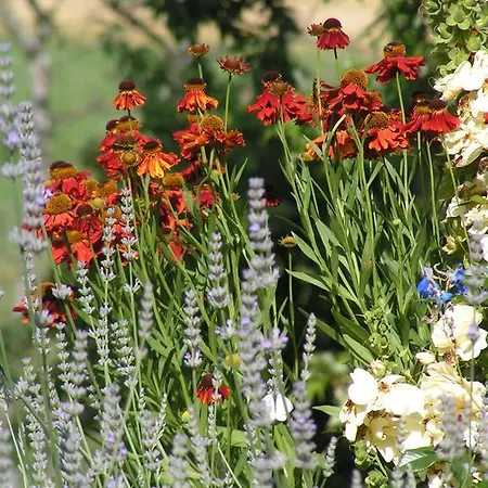 فندق مبيت وإفطار Boutique Hotel, La Musardiere جيميل