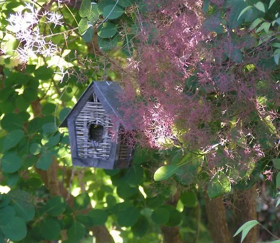 Boutique Hotel, La Musardiere