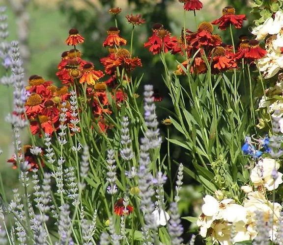 Bed & Breakfast Boutique Hotel, La Musardiere Gimel